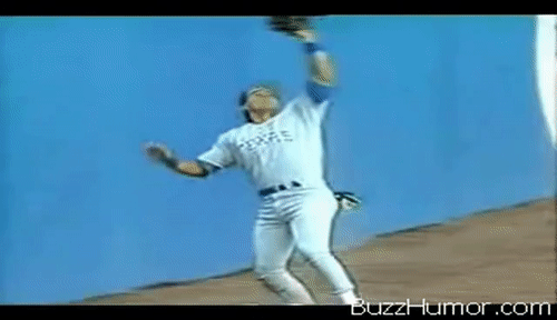 IncomparableUncommonDogwoodtwigborer-size_restricted.gif