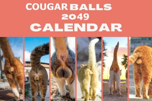 Cougars Balls.jpg